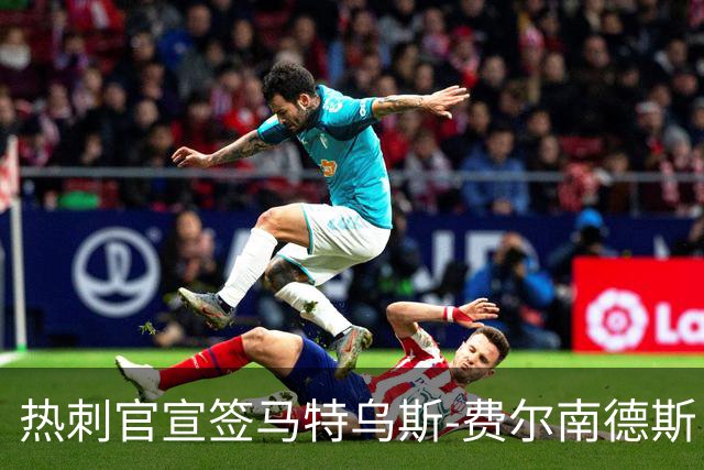 热刺官宣签马特乌斯-费尔南德斯 转会费8500万镑破纪录